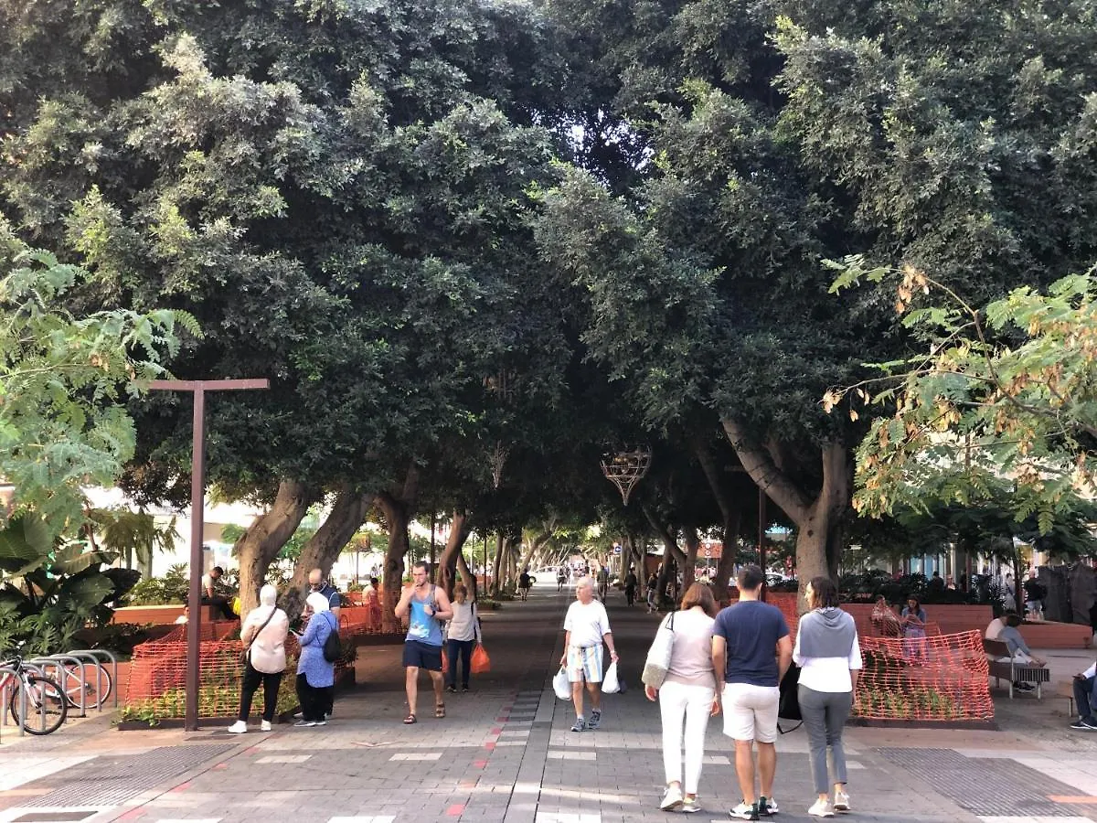 110 Square Meters, 5 Min Of All-Best Area Of Las Palmas 0*, Las Palmas de Gran Canaria